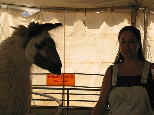 126-2687_IMG