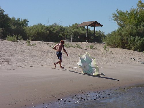 DSC00545
