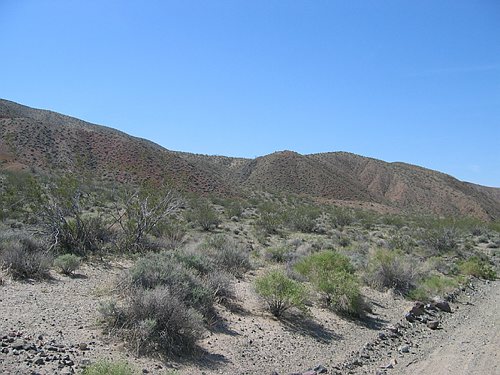 155_5558