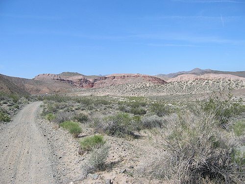 155_5560