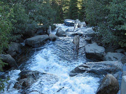 215_1558