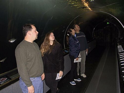 102-0242_IMG.JPG