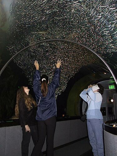 102-0248_IMG.JPG