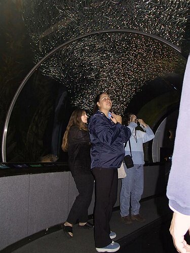 102-0249_IMG.JPG