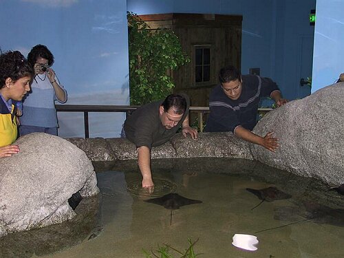 102-0260_IMG.JPG
