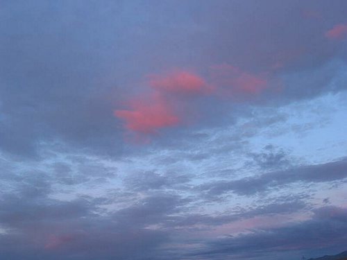 IMG_3248