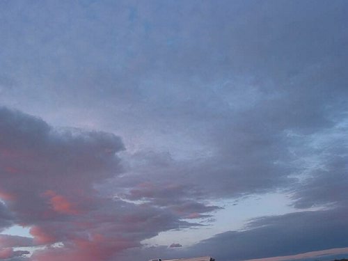IMG_3251