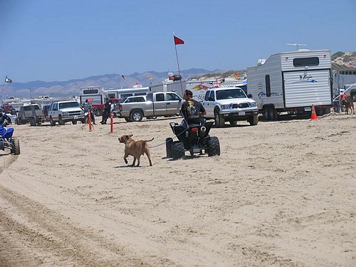 IMG_3702