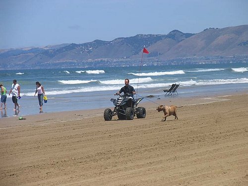 IMG_3704