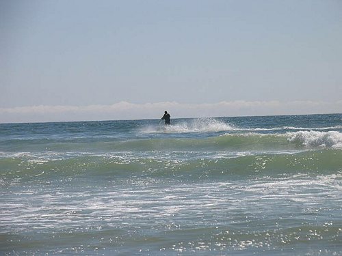 IMG_3745