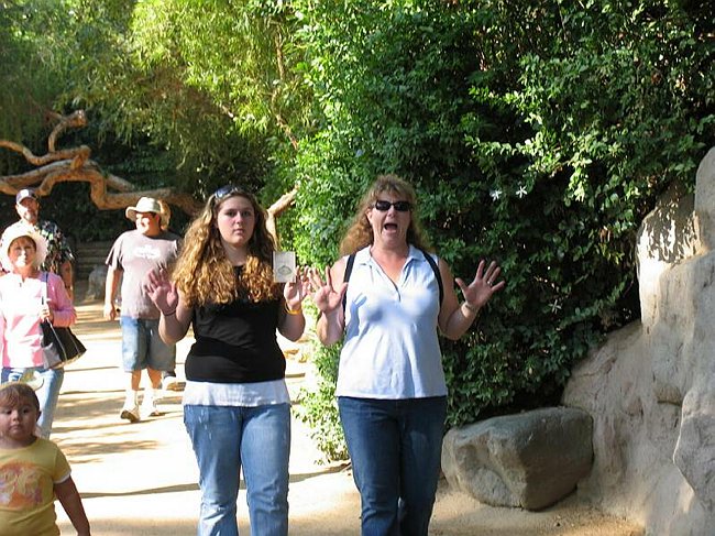 IMG_4467